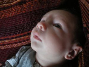 IMGP3276.JPG