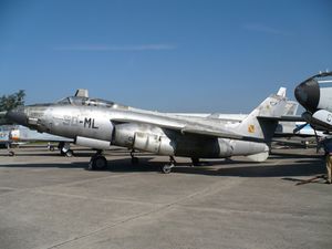 Vautour 1