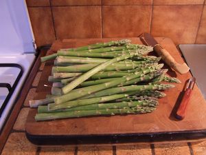 asperges vertes (2)