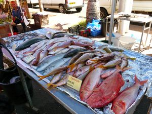 cari poisson (12)