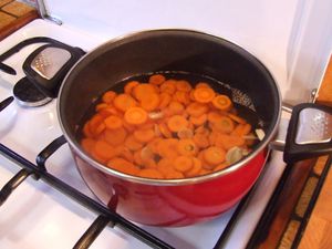 salade de carottes (14)