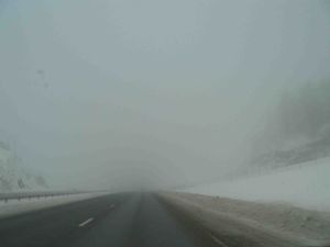 Nebel unterwegs