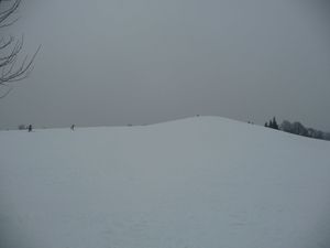P1030203(1)