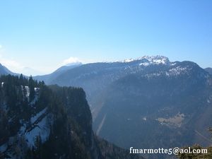 Grande Sure-copie-1