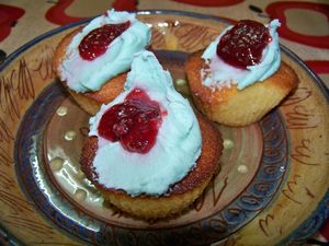 janvier-fevrier-2010-053.jpg