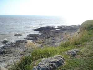 conche-du-conseil-royan.jpg