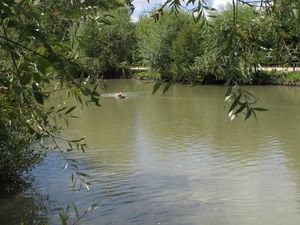 st hilaire la palud (110)