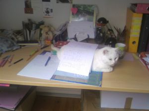 Photo0036