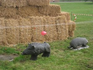 Chasse-2011-2012-0034.JPG