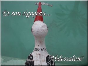 Cigognes3