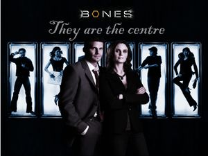 Bones-and-Booth-bones-626022_1600_1200.jpg