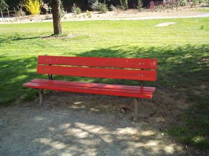 100_1178.JPG