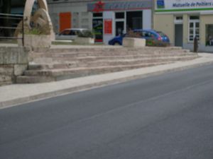 SL374545.JPG