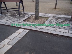 pave4.jpg