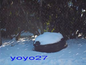 sac noir et neige