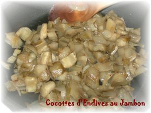Cocottes d'endives 1