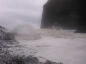 P1010262n1