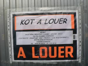 kot-a-louer