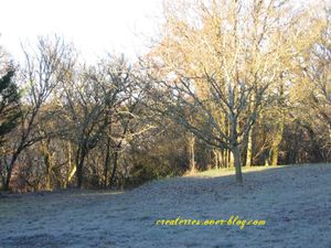 lumiere-d-hiver.jpg