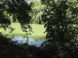 Vianne---La-Baise--1-.jpg