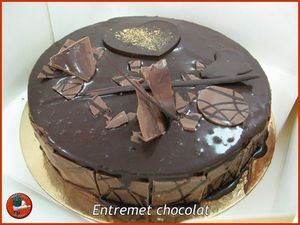 Entremet-chocolat-St-Valentin-2009.jpg