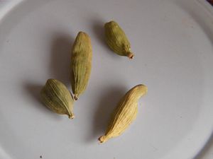 DSCN1371.JPG