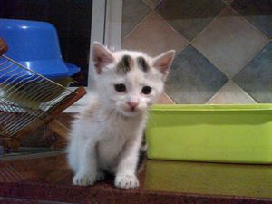 IMG-20130204-00008.jpg