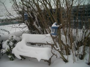 Maison--9-janvier-2010-043.jpg
