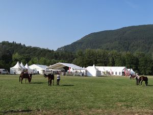 DSC01730.JPG