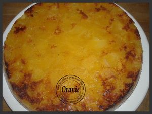 GATEAU-AUX-POMMES.jpg
