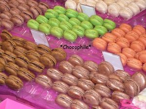 salonchoc19