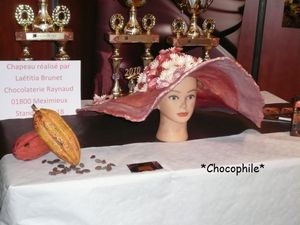 salonchoc6