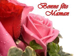 large bonne-fete-maman 1605ae