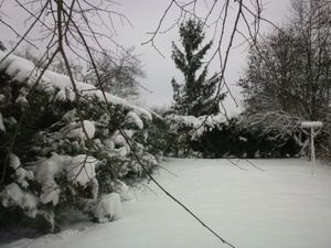 jardin1cmp.jpg