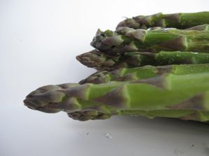 Asperges--22-.JPG