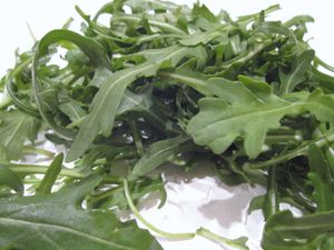 Roquette (4)
