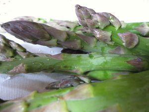 Asperges--13-.JPG