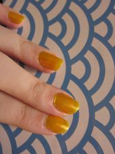 Kiko-yellow.JPG