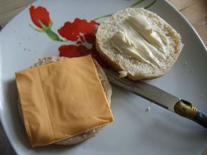 DSCF0152.JPG