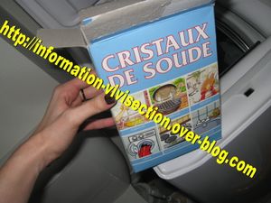 cristaux.JPG