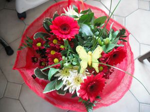 DSCF0372.JPG