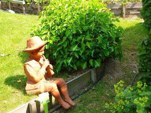 Jardin de Jean Nickell juin 2010 008