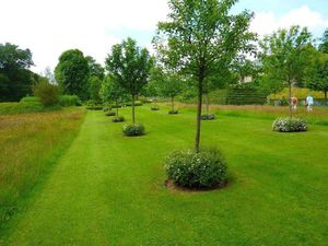 Jardin de Jean Nickell juin 2010 019