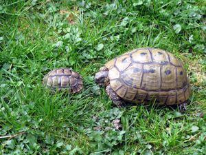 fevrier-2010-5007-copie.jpg