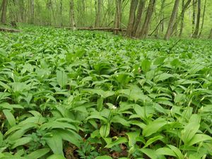 20130501_153028.jpg