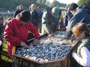 201111271128220.20novembre.jpg