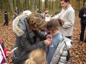 Photo 006