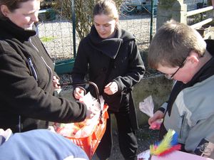 photo 028