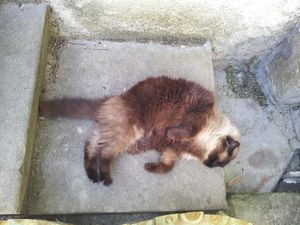 20140504_113115.jpg