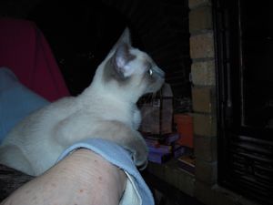 DSCN0385.jpg